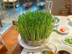 -廣順興(兴华路店)
