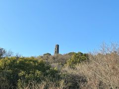 -上海佘山国家森林公园天马山园