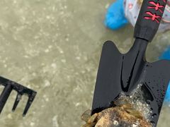 -红树林天天赶海