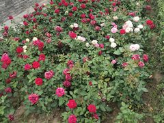 -张学良旧居陈列馆