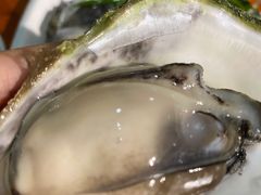 生蚝刺身-南蚝小贝海鲜特色餐厅(南澳岛店)