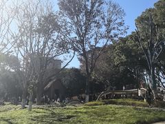 -宁波儿童公园(鄞州区)