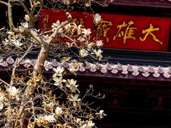 -灵谷景区