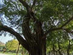 -广州中山纪念堂