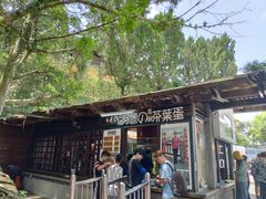 门面-金盆阿嬷香菇茶叶蛋(玄光店)