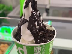 -Salud撒露欧洲冻酸奶(五道口购物中心店)