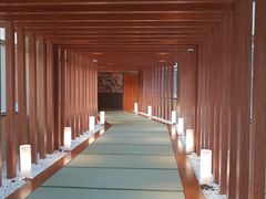 -重庆南山海昌汤都