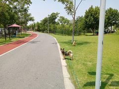 -上海长兴岛郊野公园