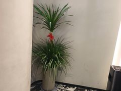 -不晚酒店(苏州观前平江路店)