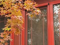 -大觉寺-停车场