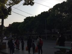 -新江湾城公园
