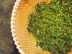 -礼耕堂·百年茶人餐厅(梅家坞店)
