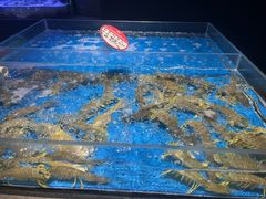 -徐记海鲜(大雁塔|金都店)