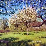 油画风景画画的这么好，不愧是大师！