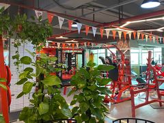-KingBull私教健身&格斗订制(龙井商业中心店)