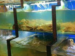 -老东镇啤酒屋海鲜加工·蒸汽海鲜·海鲜烧烤(台东店)