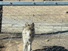 -秦皇岛野生动物园
