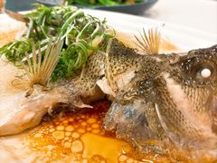 鲈鱼-朱仔记食府(江南大道店)