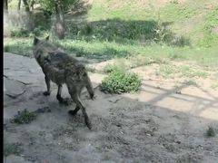 -沈阳森林动物园