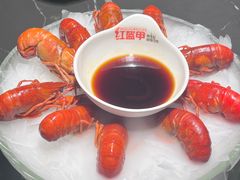 -红盔甲·小龙虾(人民广场店)