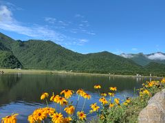 -大九湖