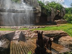 -海南热带野生动植物园