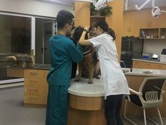 -联合动物医院(光谷诊疗中心)