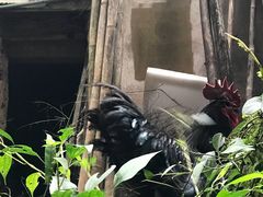 -四洞沟景区