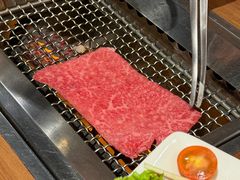-俺的焼肉(銀座9丁目店)