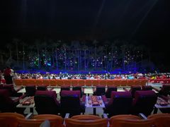 -三亚红色娘子军演艺公园景区