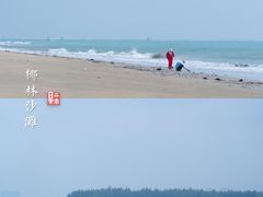 -东郊椰林
