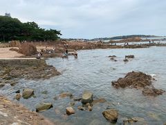 -青岛第二海水浴场