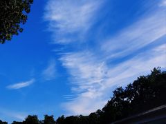 -北京市劳动人民文化宫(太庙)