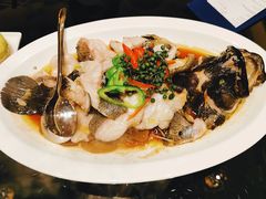 青花椒蒸龙胆鱼-闽和南(深圳万象城店)