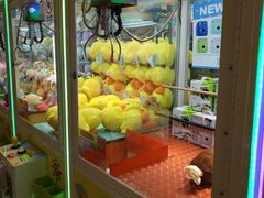 -汤姆熊欢乐世界(滨江店)