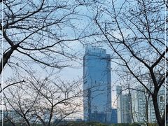 -西北湖绿化广场