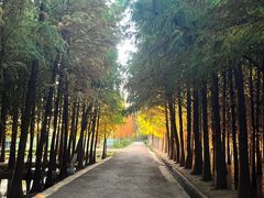 -捞渔河湿地公园