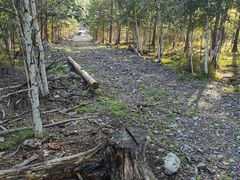 -北极村旅游风景区