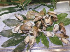 -冀粤香海鲜自助餐厅(西美五洲店)