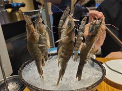 -青瓷火锅料理(西单大悦城店)