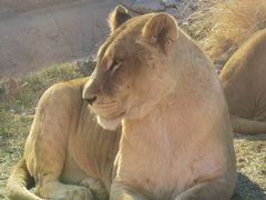 -北京野生动物园