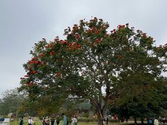 -中国科学院西双版纳热带植物园