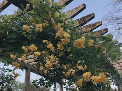 -南山植物园