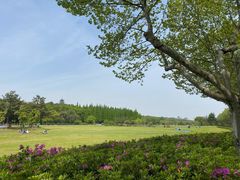 -宜兴龙背山森林公园