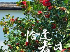 -乌山风景区