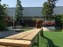 -汪说喵讲宠物乐园宠物酒店(红星美凯龙店)
