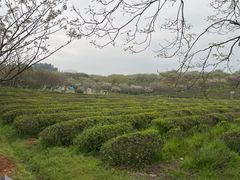-凤凰沟景区