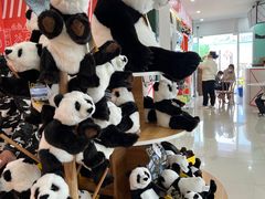 -熊猫邮局(少城店)