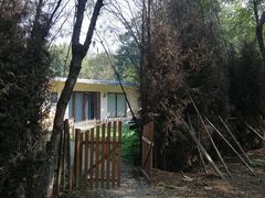-翡翠森林宠物火化殡葬(通州店)