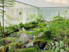 -罗红摄影艺术馆